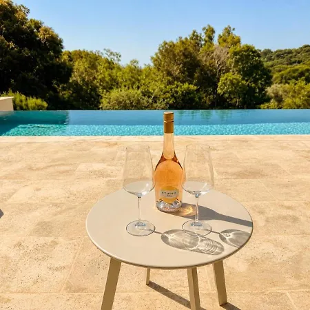 Provencale Climatisee Avec Piscine, Entouree De Verdure Et Au Calme